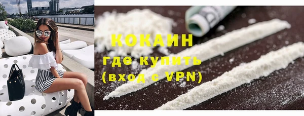соль ск Алексин