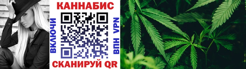 Бошки марихуана семена  купить закладку  Андреаполь 